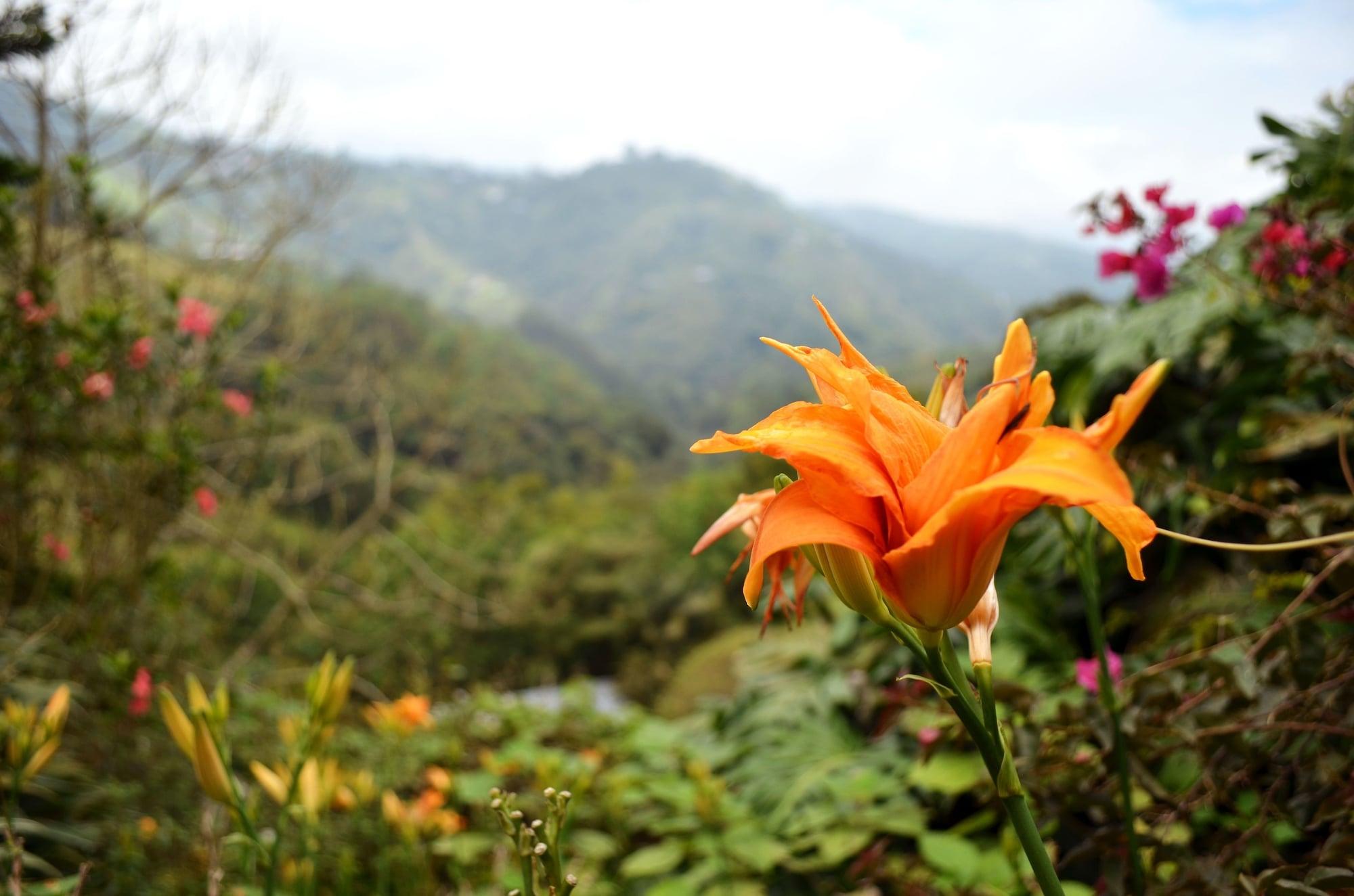 Eco Lodge La Juanita Manizales Kültér fotó