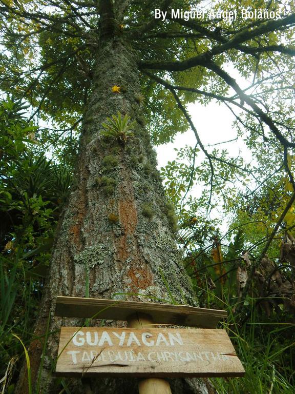 Eco Lodge La Juanita Manizales Kültér fotó