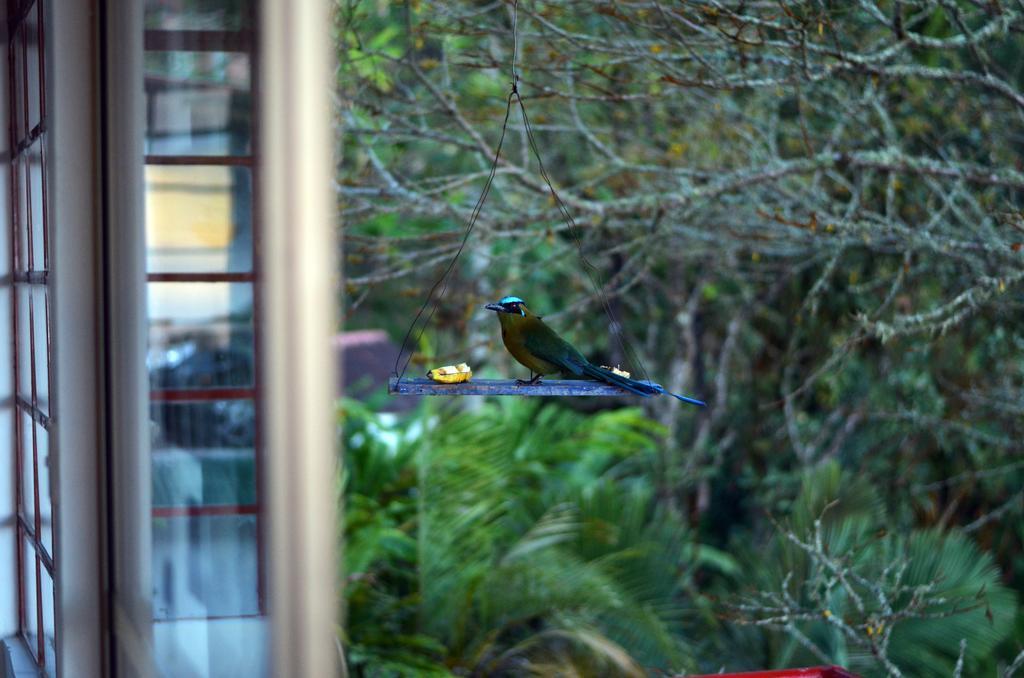Eco Lodge La Juanita Manizales Kültér fotó