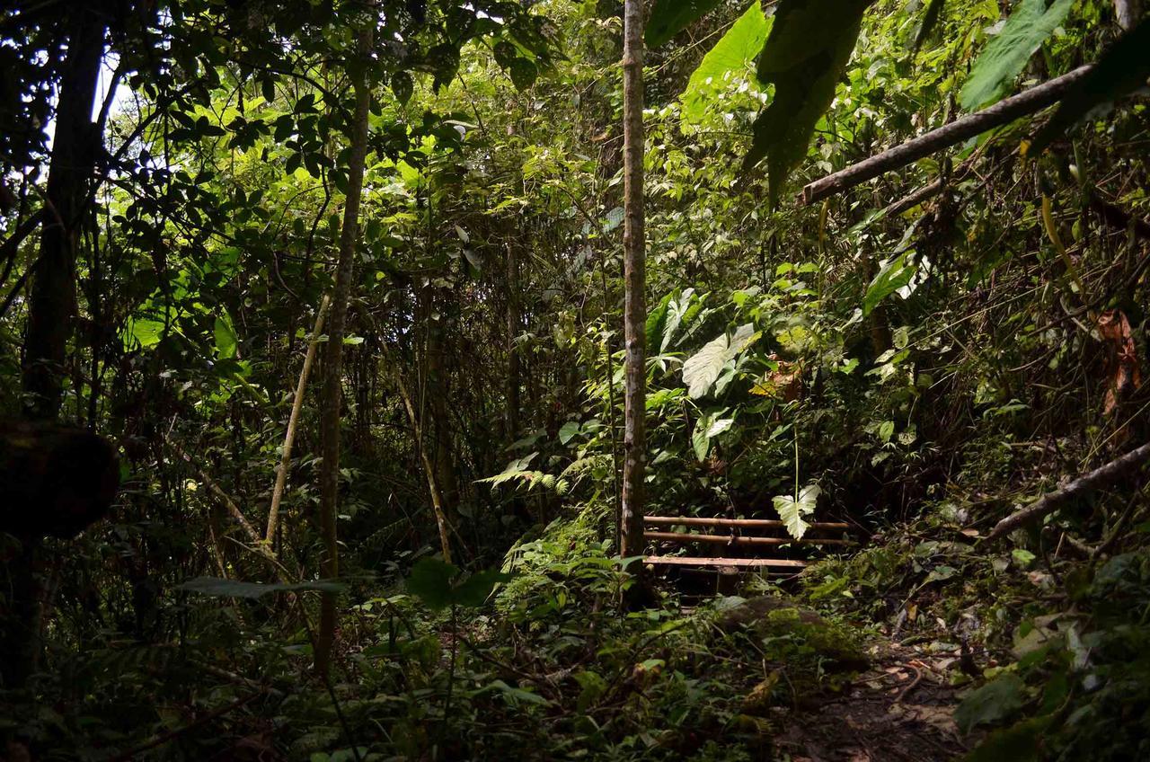 Eco Lodge La Juanita Manizales Kültér fotó