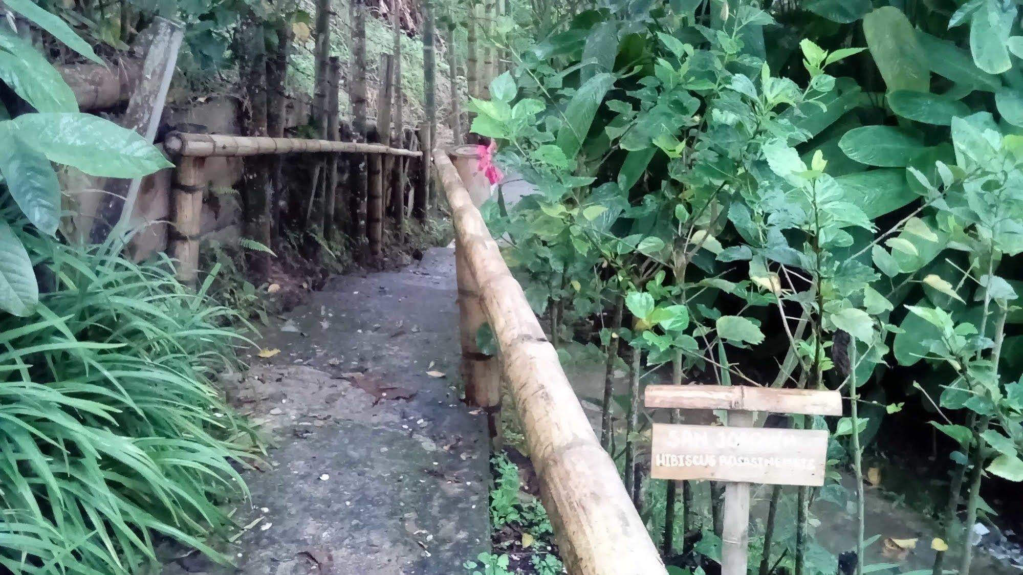 Eco Lodge La Juanita Manizales Kültér fotó